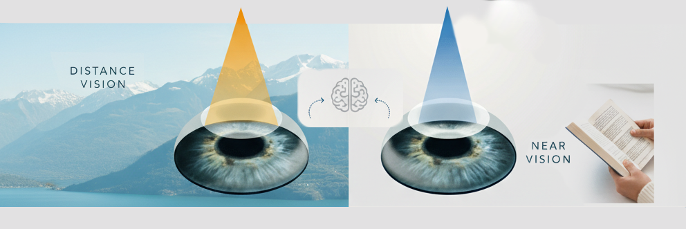 speciality-background