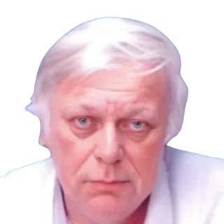 ד"ר אילן זהבי