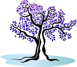 יאיר מימון מעיין החיים