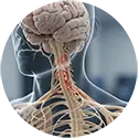 בעיות מערכת העצבים