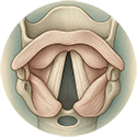 procedure picture