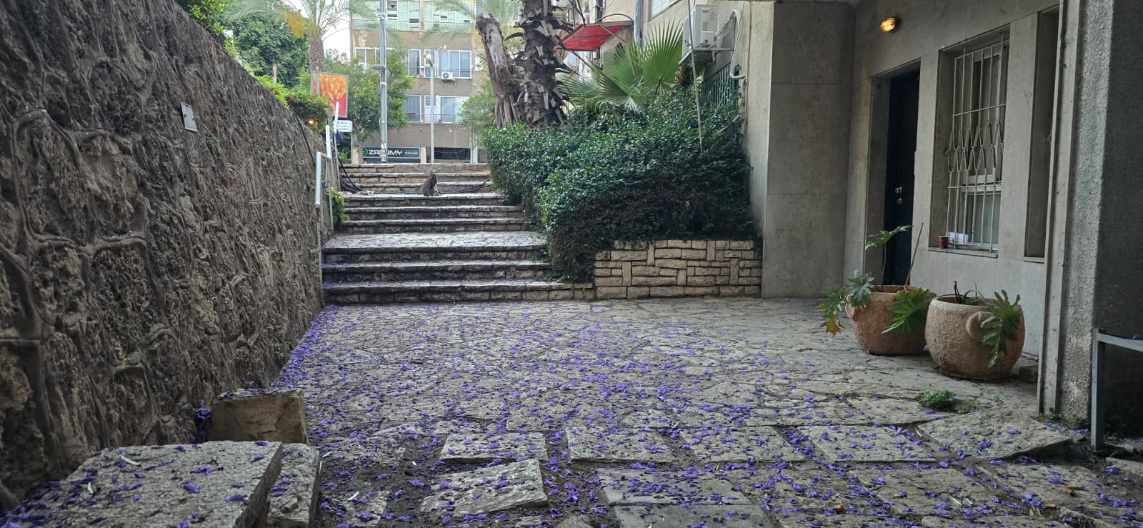 כניסה לקליניקה